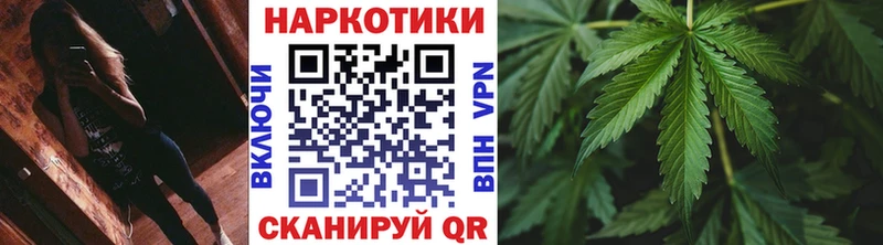 Где купить наркотики Шали КОКАИН  Alpha PVP  АМФЕТАМИН  Меф 