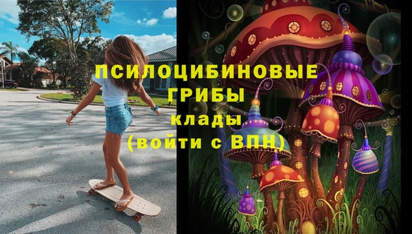 трава Медвежьегорск