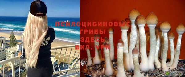 трава Медвежьегорск