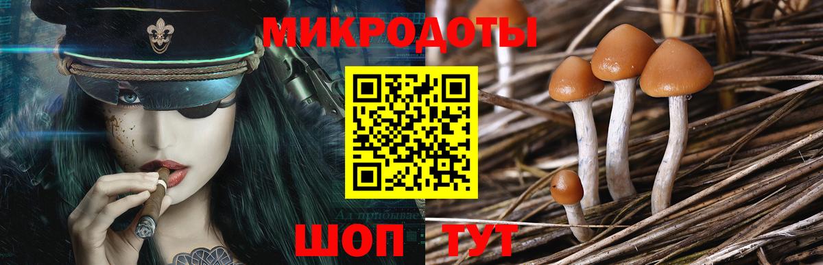 Псилоцибиновые грибы Magic Shrooms  Вход с VPN  Шали 